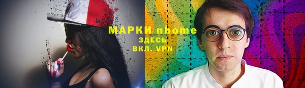 ГАЛЛЮЦИНОГЕННЫЕ ГРИБЫ Белокуриха