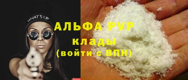ГАЛЛЮЦИНОГЕННЫЕ ГРИБЫ Белокуриха