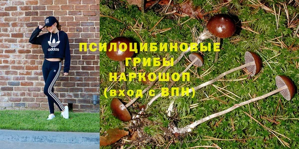 ГАЛЛЮЦИНОГЕННЫЕ ГРИБЫ Белокуриха